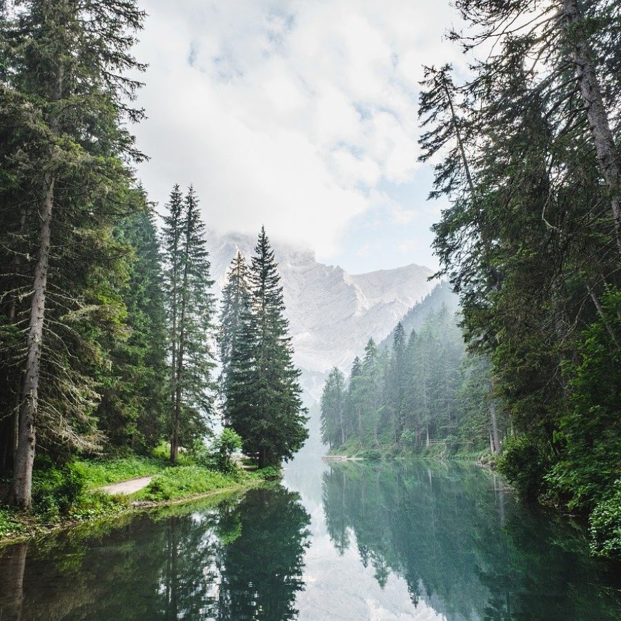 river-trees-mountains-1866579 river, trees, mountains-1866579.jpg